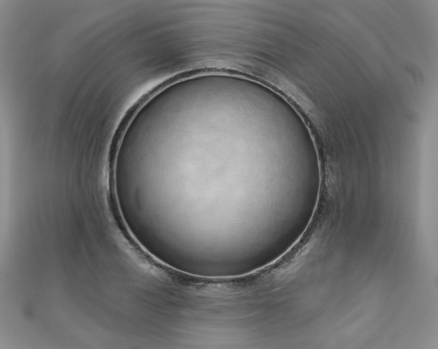 X0000110881028200906181221