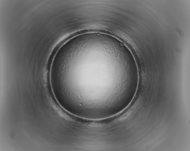 X0000110881029200906181221