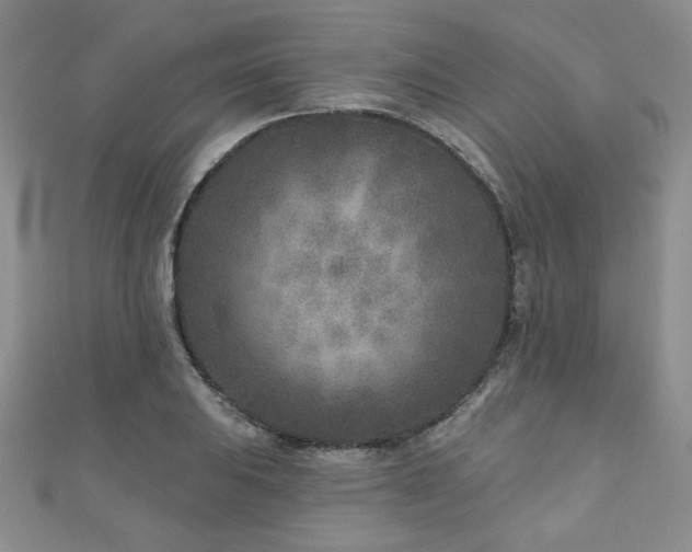 X0000110881031200906181221