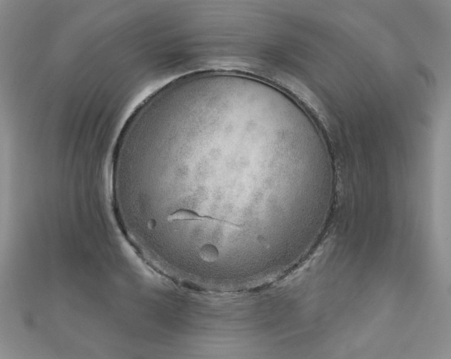 X0000110881032200906181221