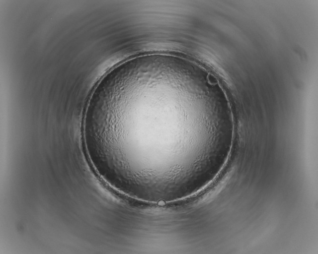 X0000110881033200906181221