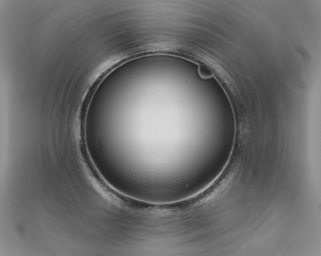 X0000110881034200906181221