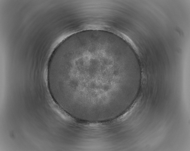 X0000110881035200906181221