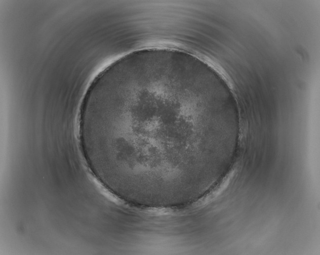 X0000110881037200906181221