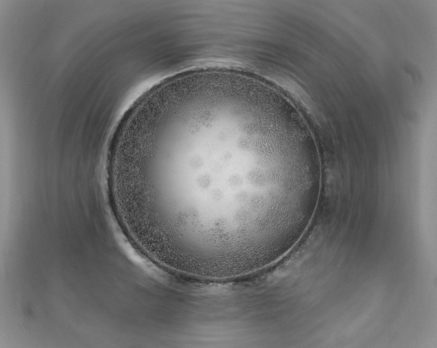 X0000110881038200906181221