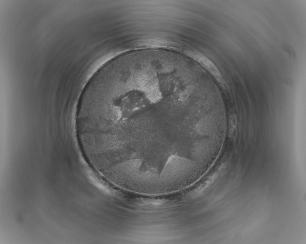 X0000110881039200906181221