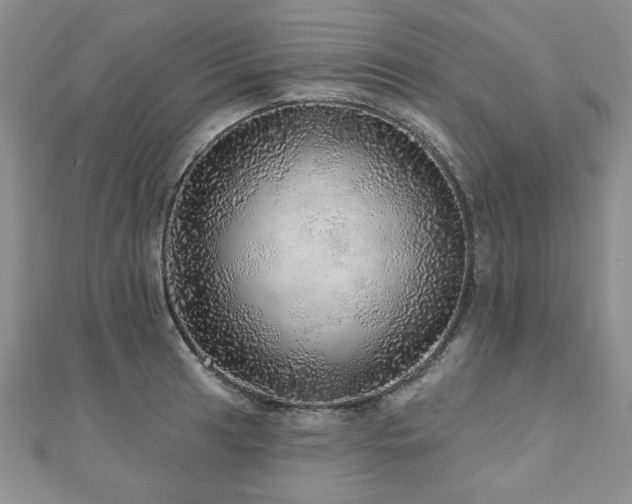 X0000110881041200906181221