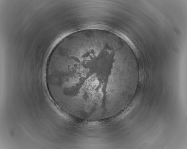 X0000110881043200906181221