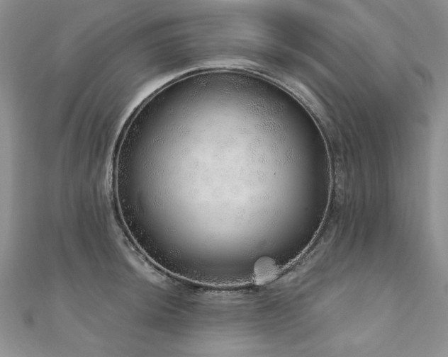 X0000110881044200906181221