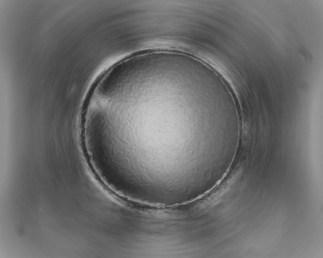 X0000110881045200906181221