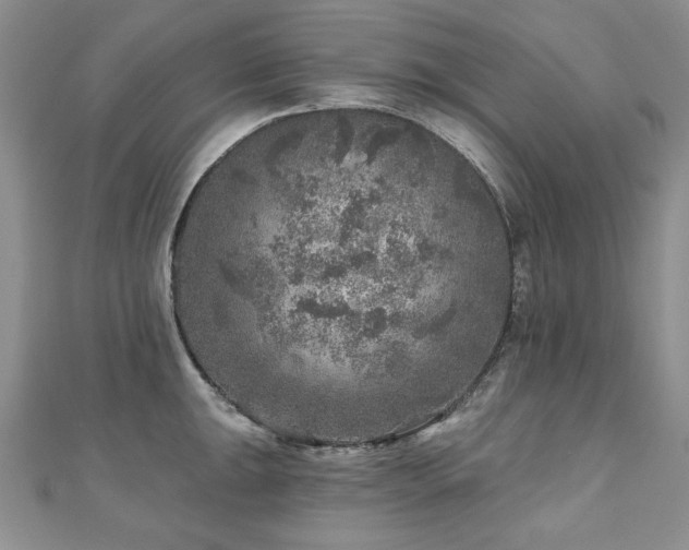 X0000110881047200906181221