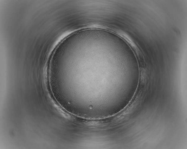 X0000110881048200906181221