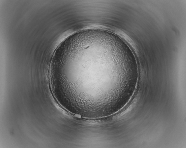 X0000110881049200906181221