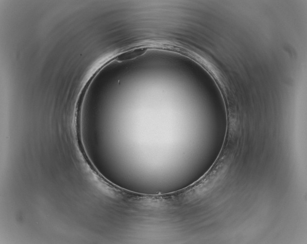 X0000110881050200906181221