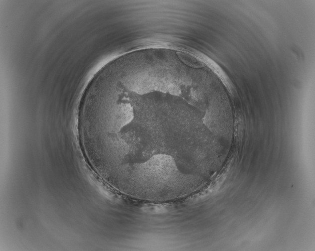 X0000110881051200906181221
