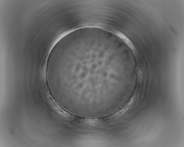 X0000110881052200906181221