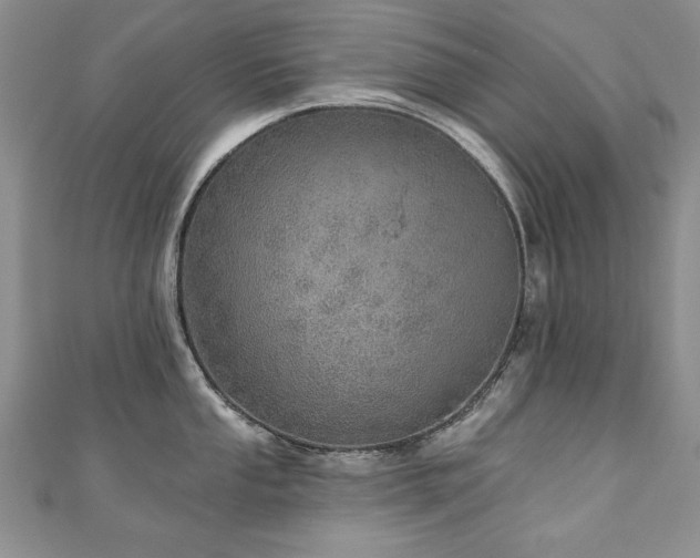 X0000110881053200906181221