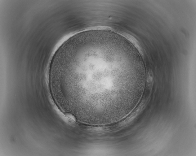 X0000110881054200906181221