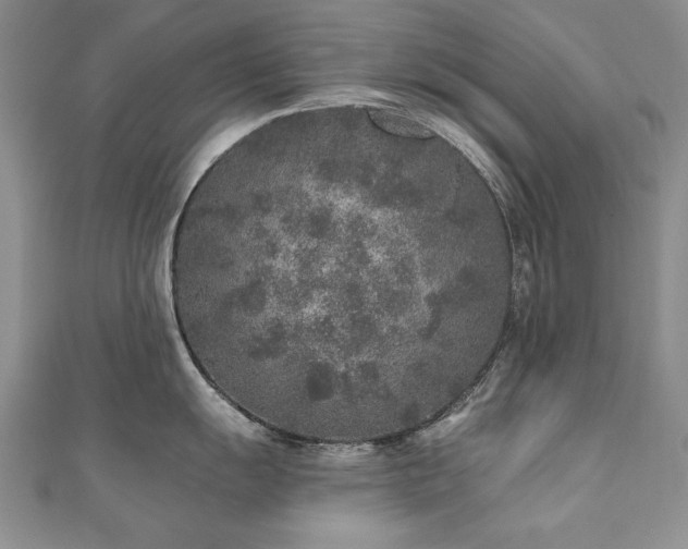 X0000110881055200906181221