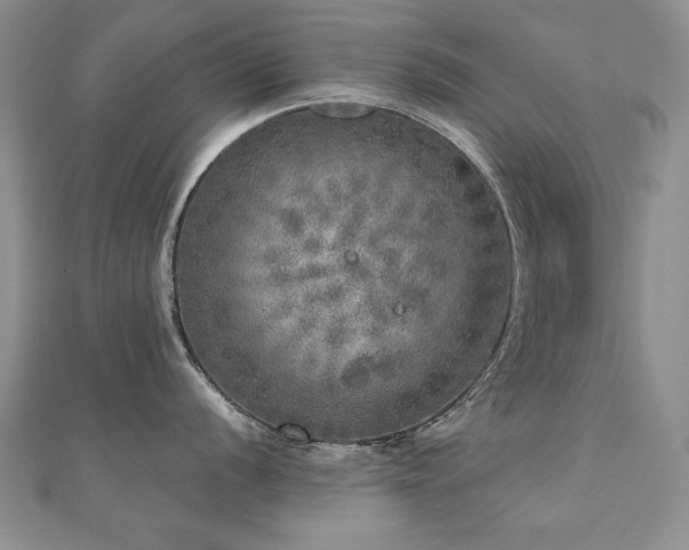 X0000110881056200906181221