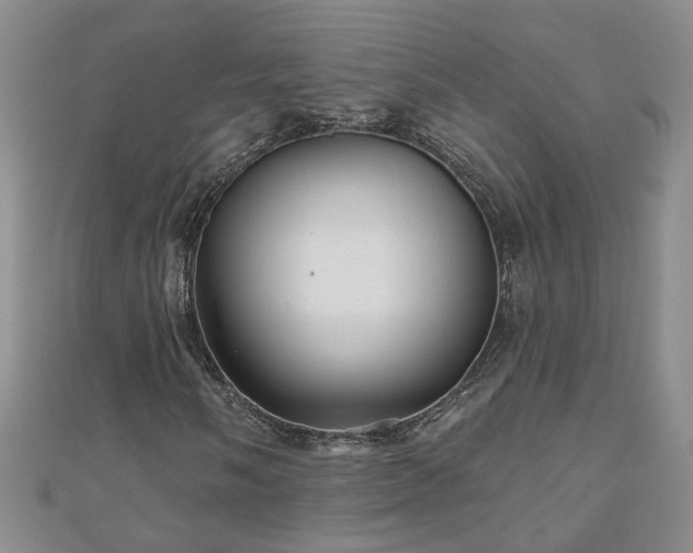 X0000110881058200906181220