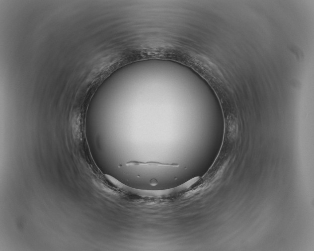 X0000110881060200906181220