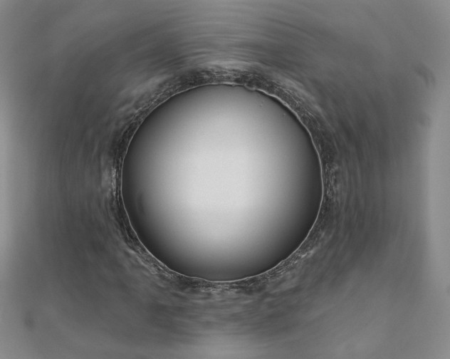 X0000110881061200906181220
