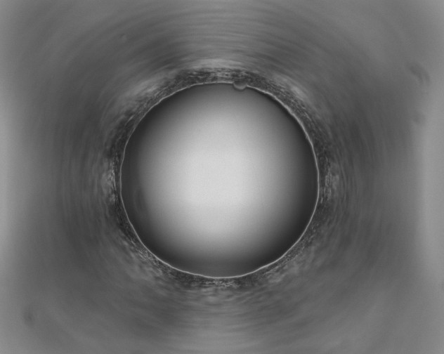 X0000110881062200906181220