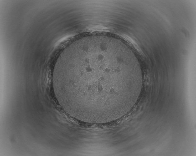 X0000110881063200906181220