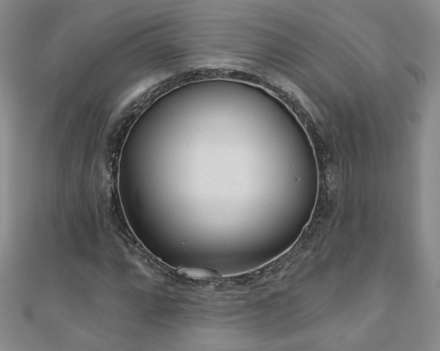 X0000110881064200906181220