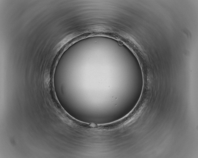 X0000110881065200906181220