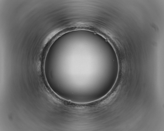 X0000110881066200906181220