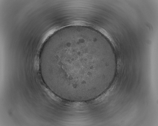 X0000110881067200906181220