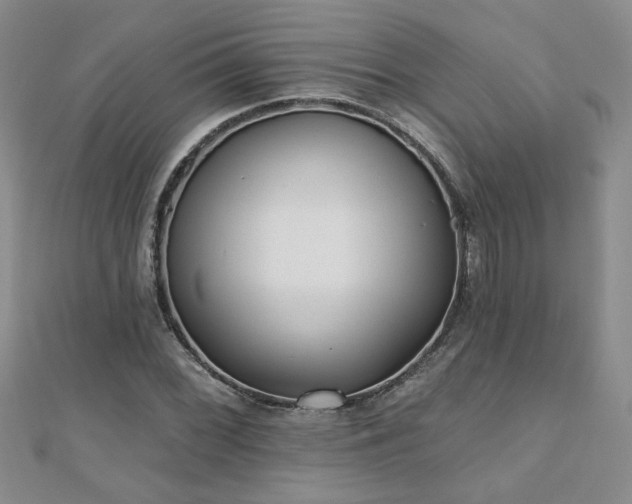 X0000110881068200906181220