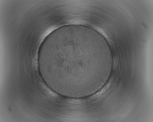 X0000110881071200906181220