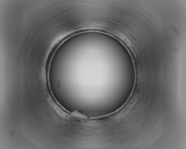 X0000110881072200906181220