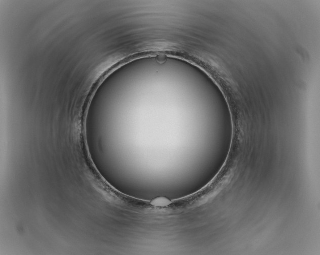 X0000110881073200906181220