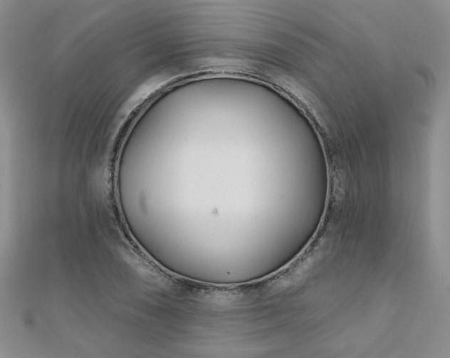 X0000110881074200906181220