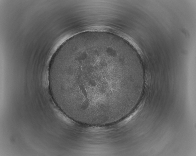 X0000110881075200906181220