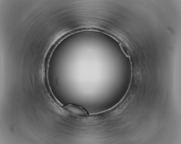 X0000110881076200906181220