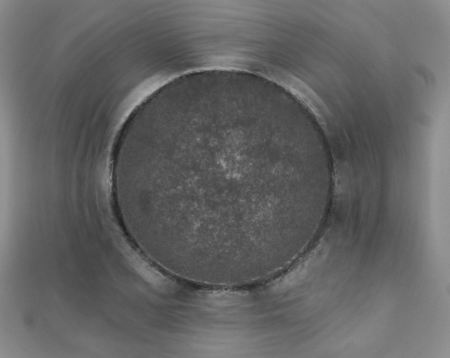 X0000110881077200906181220