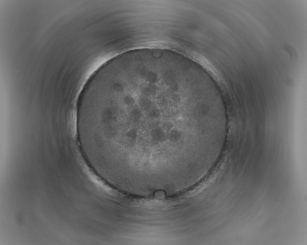 X0000110881079200906181220