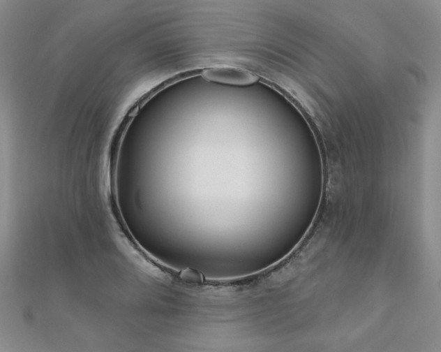X0000110881080200906181220