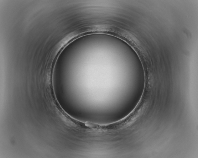X0000110881081200906181220
