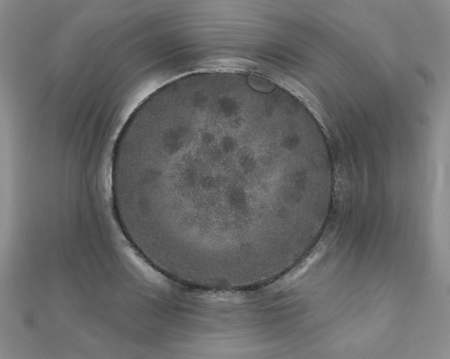 X0000110881083200906181220