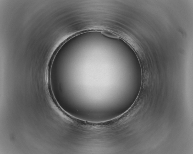 X0000110881084200906181220