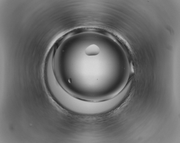 X0000110881085200906181220