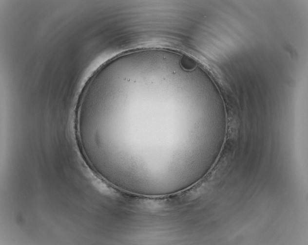 X0000110881086200906181220