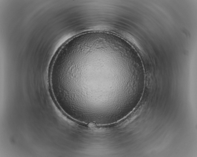 X0000110881087200906181220