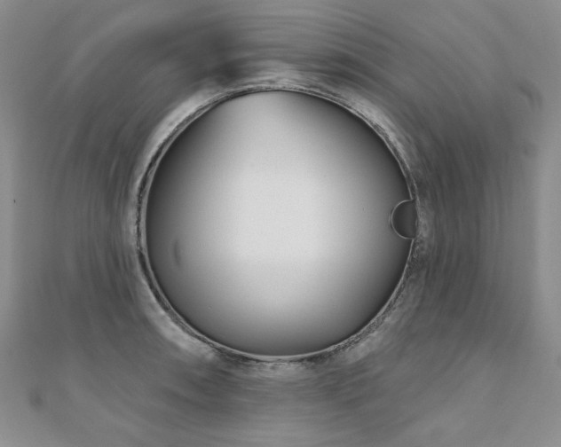 X0000110881090200906181220